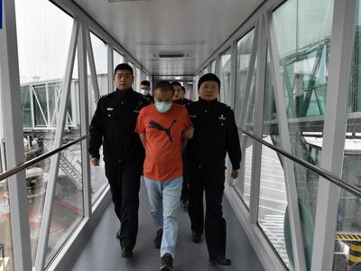 潜逃8年，涉嫌集资诈骗！“红通”在逃犯罪嫌疑人周某平被从新加坡遣返回国