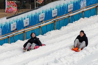 最长冰雪季来了！哈尔滨、阿勒泰、牡丹江……青岛游客已出动