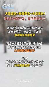 大雾橙色+寒潮黄色+大风黄色！青岛三预警齐发