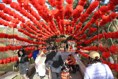 到山东过大年｜年味满满！看花灯、逛庙会攻略来了