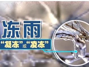 冻雨是如何形成的？关键要看这个特殊的“三明治”→