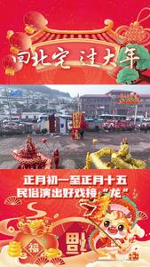 柳腔、舞龙、高跷……民俗演出好戏接“龙”！这里“崂”有年味儿了