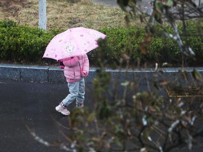 出门带伞！今天傍晚到明天白天，青岛全市范围有小雨