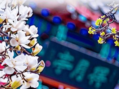 动态海报丨春暖花开 海岱日新