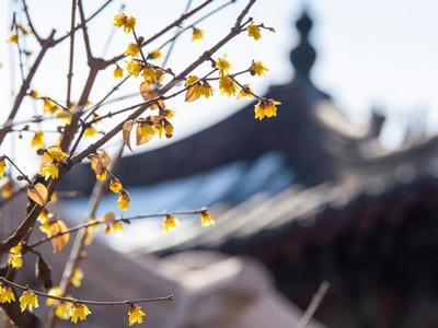 一大波回暖来了！看看你那儿什么时候升温