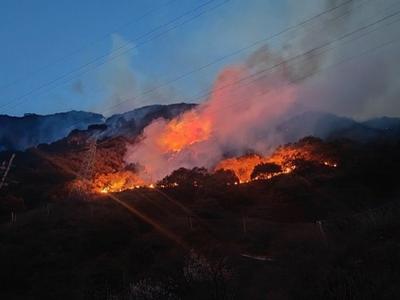 四川雅江森林火灾初查系施工动火作业引发