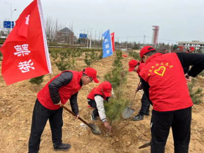 即墨以“志愿红”引领“生态绿”