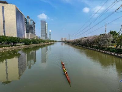 广州官宣入夏！迎1961年以来“最早夏天”