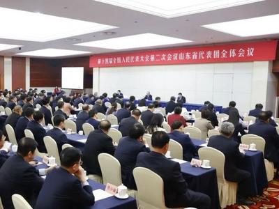 十四届全国人大二次会议山东代表团成立，推选林武为团长