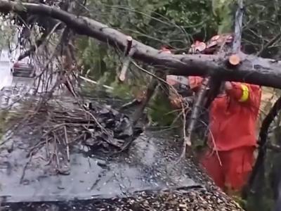 多地遭遇雷暴冰雹，本轮强对流天气威力为何如此大？如何避险？