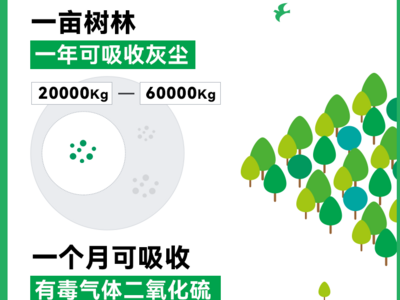 有理数丨 “植”此青绿 一组数据告诉你我们为什么要种树