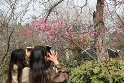 新研究：大脑32岁才成年！你的人生“黄金期”或许才刚开始