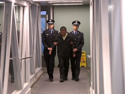 职务犯罪嫌疑人郭柏春被遣返回国