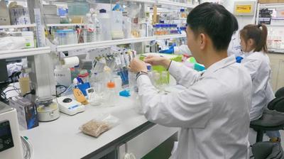用“小”生物撬动“大”产业，青岛合成生物技术助力新质生产力发展