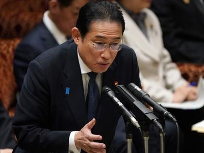 日本民调显示岸田内阁支持率降至22.8%，为成立以来最低