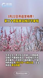 3月22日开启赏梅季！第二十四届青岛梅花节来啦