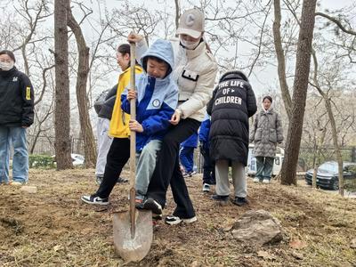 种下绿色希望！青岛市“互联网+全民义务植树”活动启动