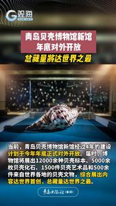 青岛贝壳博物馆新馆年底对外开放，总藏量将达世界之最