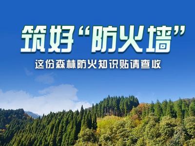 筑好“防火墙”，这份森林防火知识贴请查收