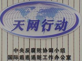 “天网2024”行动正式启动