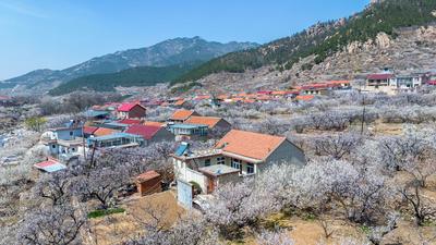 “两优一先”风采录 | 王俭龙：带队伍强根基，一片赤诚富山乡