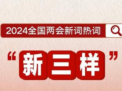划重点！政府工作报告里提到了这些新词热词
