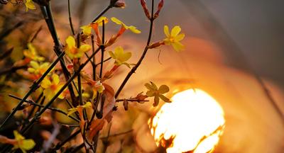 不让残疾困住追求美好生活的梦想！青岛市举行残疾人文创产品大集