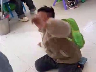 虞城幼儿园学生被殴打：园长停职、涉事幼师开除