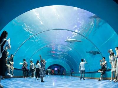 “五一”假期前投用！青岛极地海洋世界地下通道实现暗挖段贯通