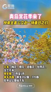 青岛赏花季来了！快来坐着公交赴一场春日之约