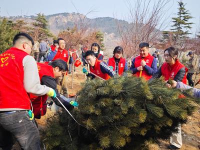 “植”此青绿正当时！青岛近千名干部职工为浮山增绿添彩
