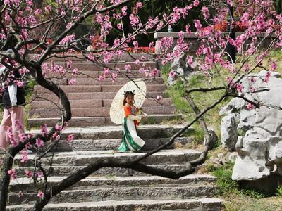 全国入春进程图出炉！华北多地提早迈入春天门槛