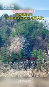 赏花正当时！清明假期首日崂山累计接待游客3.6万人次