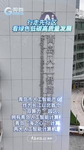 行走先行区，看绿色低碳高质量发展丨算力服务、应用创新、产业聚合……走进青岛这个产业园，感受超强计算能力