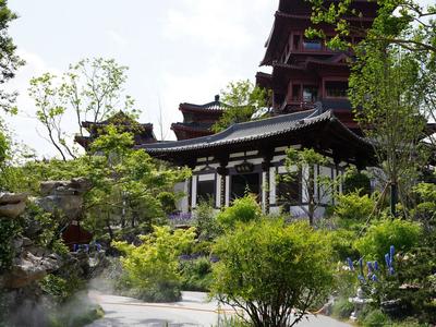 藏不住啦！这些展园有来头