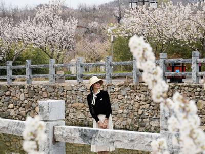 2024年全国文化和旅游消费促进活动启动，将持续至明年2月