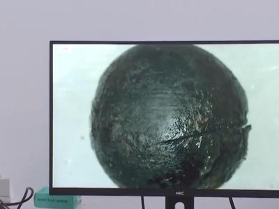 既有栗子又有甜瓜籽，武王墩墓里的果蔬清单大公开！