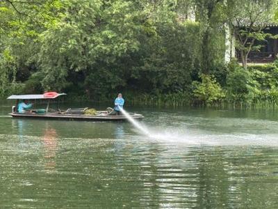 西湖洗湖引热议，景区回应：维护西湖美常规保洁操作