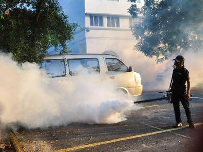 2024年巴西已有1116人因登革热疫情死亡