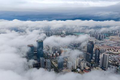 出行注意！青岛多地发布大雾预警→