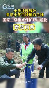 “浇”个“朋友”！青岛小学生栽下百余株濒危植物“青岛百合”