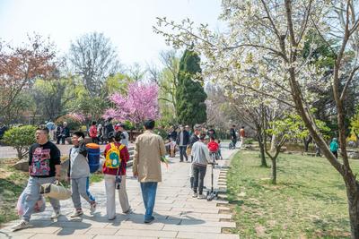 今天至周末我国大部一路向暖，部分地区气温升幅可达20°C以上