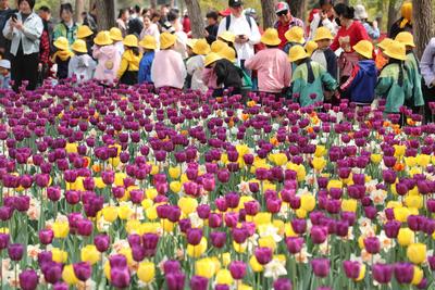 儿童过敏能“长大自愈”？医生提醒春季过敏防控别陷误区