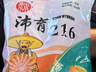 伪劣种子“横行”齐齐哈尔，农业农村部责成黑龙江核查