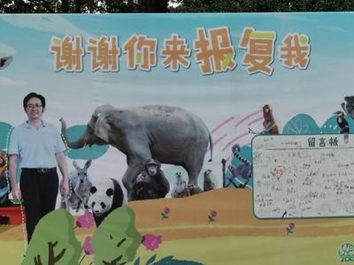 日均客流量堪比迪士尼！这座动物园为何能成顶流？