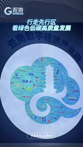 行走先行区，看绿色低碳高质量发展 | 500亩园区年产值200亿，这里堪称数字赋能的“县域样板”