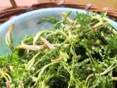 时令野菜上市了，医生提醒：特殊人群不建议食用