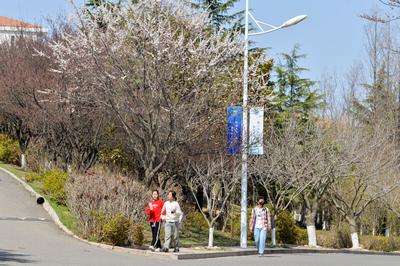 招聘！青岛科技大学、山东职业学院、临沂市教育局