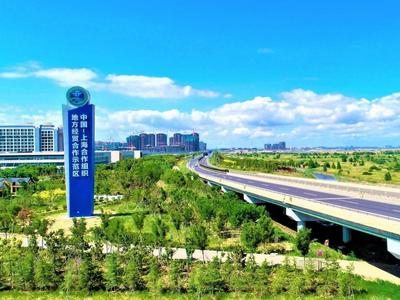 政策上门、服务下沉！“出海”企业有了首席税务专员直通服务