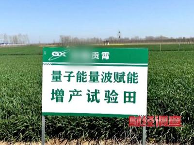 河南叶县回应“用‘量子科技’种庄稼”事件：已成立联合调查组